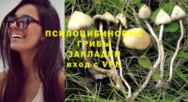 таблы Бикин
