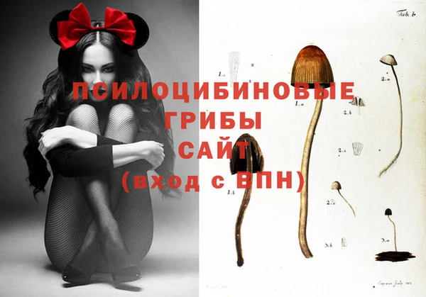 каннабис Новозыбков