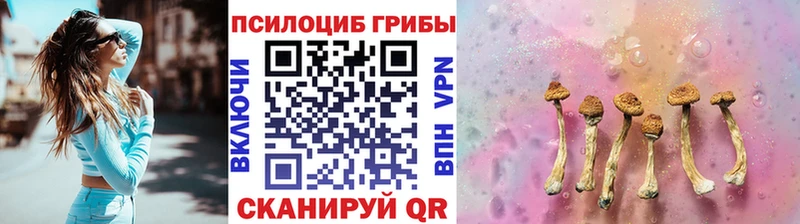 Псилоцибиновые грибы Cubensis  как найти наркотики  Фролово 
