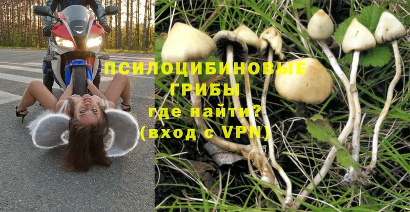 KRAKEN маркетплейс  Фролово  Галлюциногенные грибы MAGIC MUSHROOMS 