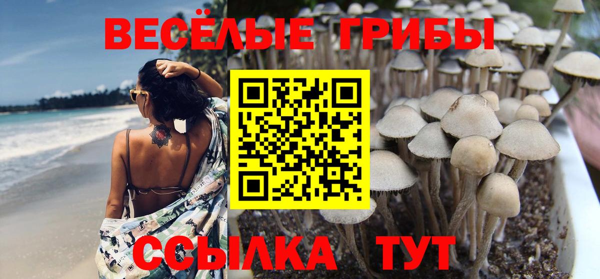 МЕФ   МДМА  Фролово  Гашиш  Вход с VPN  Конопля  Cocaine  NBOMe 