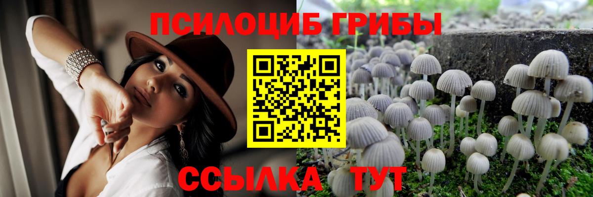 Фролово  Галлюциногенные грибы прущие грибы  Псилоцибиновые грибы GOLDEN TEACHER  Вход с VPN 